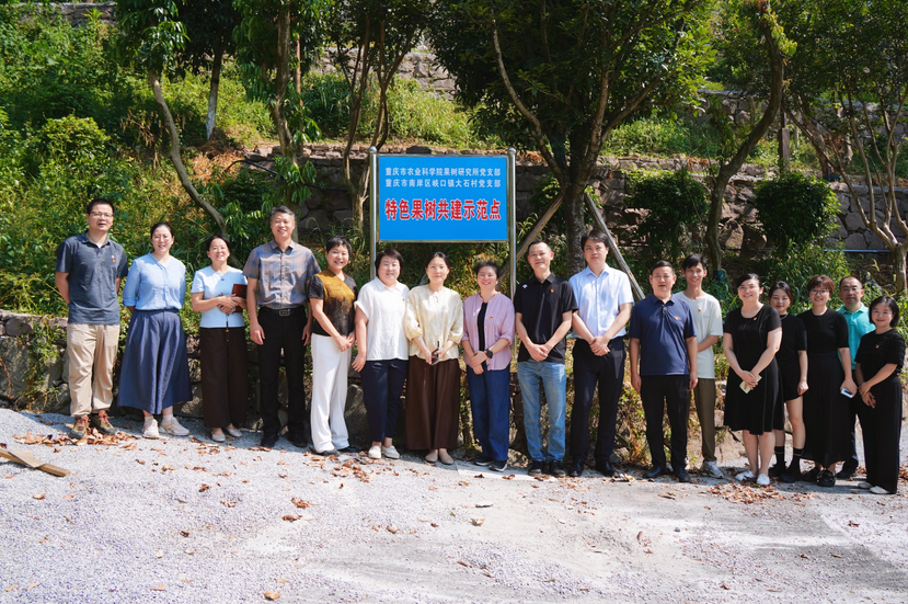 科技扎根促振兴 峡口镇大石村对接市农科院果树所打通乡村产业提质通道.png