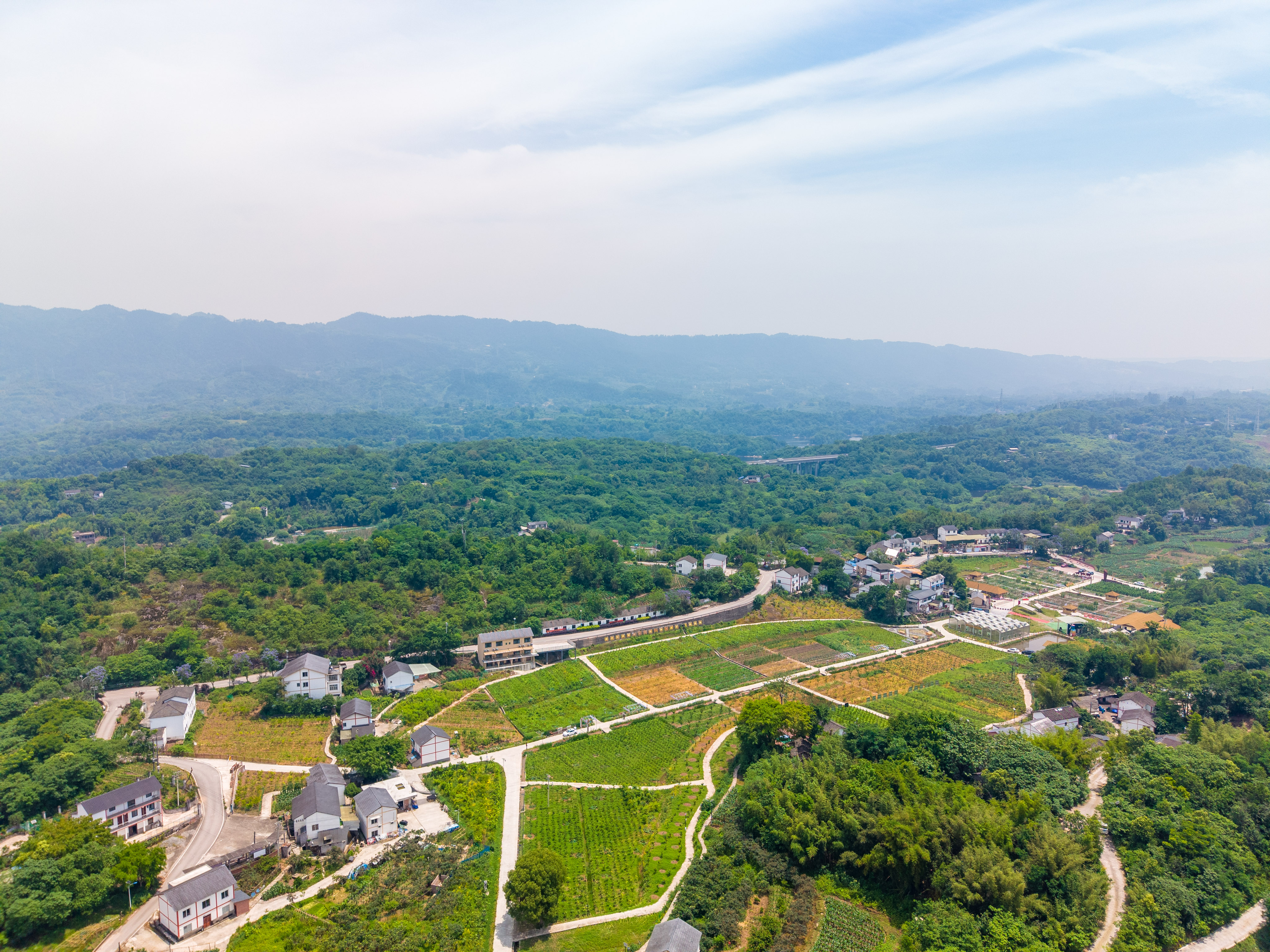 供销赋能产业兴 绘就乡村振兴新画卷.jpg